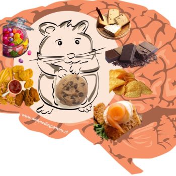 Hamster in je brein