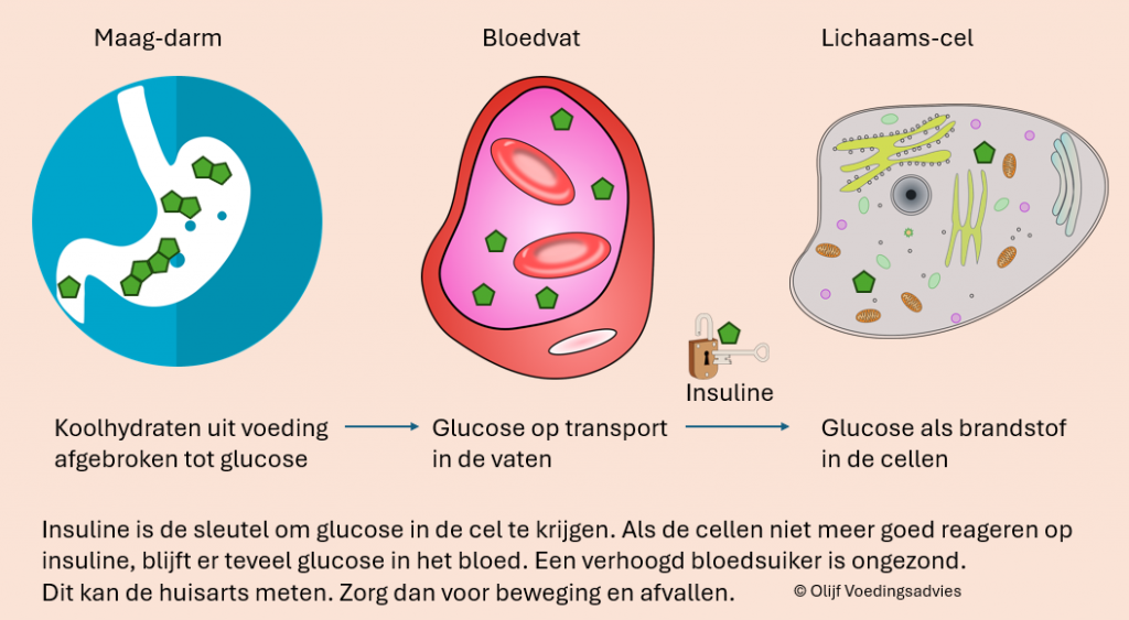 insuline resistentie glucose koolhydraten afvallen